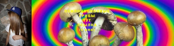 apvp Алексеевка