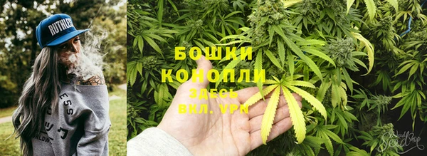 героин Лагань